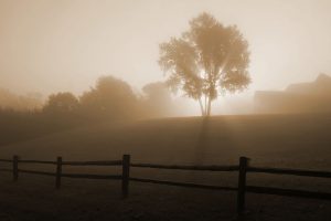 800px-sunrise_in_the_fog_7723